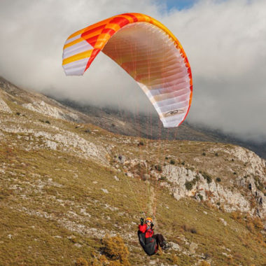 BGD Anda L (100-125 kg)
